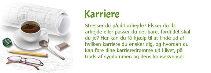 Karriere