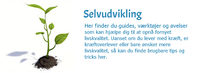 Selvudvikling